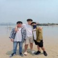 timdaily