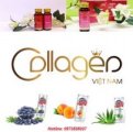 collagen, collagen viet nam, nuoc uong collagen, uong collagen, collagen là gì
