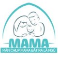 đại lý MÀN CHỤP TỰ BUNG, mùng chụp tự bung, màn chụp, mùng chụp