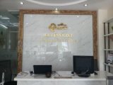 đại lý  dạy phun xăm, trung tâm dạy phun xăm, dạy phun xăm thẩm mỹ