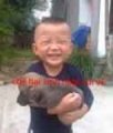 do choi xe may, phu tung trang tri xe may, do do SH