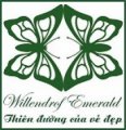 tìm nhà phân phối mỹ phẩm Willendrof Emerald 100% từ Thái Lan