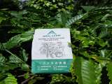 Drai Farm cung cấp cà phê rang xay nguyên chất cho quán giá tốt