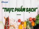 đại lý  Thực phẩm sạch