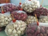 đại lý  hành tỏi lý sơn