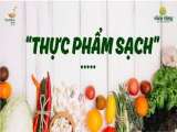 đại lý  thực phẩm sạch