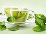 đại lý traxanh,nuoctraxanh