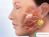 đại lý bệnh về mũi