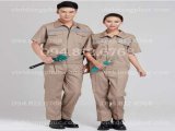 đại lý 