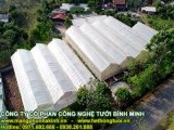 đại lý 