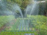 đại lý vòi tưới phun mưa