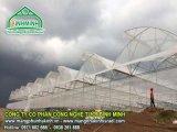 đại lý 