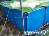đại lý hồ bạt cá koi,hồ nuôi cá,bể dưỡng cá,bể nuôi cá koi