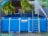 đại lý bể bơi lắp ghép,bể bơi di động,bể bơi,bể bơi kinh doanh,bể bơi trường học