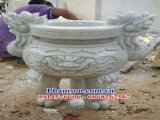 đại lý 