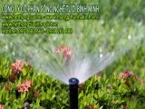 đại lý béc tưới cỏ