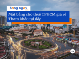 đại lý 