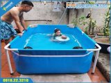 đại lý bể bơi mini,bể bơi cho bé,hồ bơi trẻ em