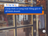 đại lý 