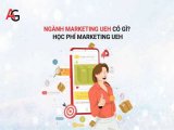 đại lý 