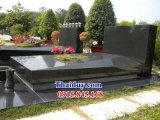 đại lý 