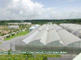 đại lý 