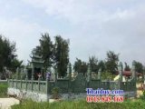 đại lý 