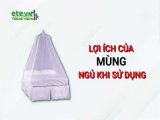 đại lý 