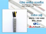 đại lý cáp điều khiển,cáp tín hiệu,Cáp điều khiển SH-17510,CT-17510 10x0.75,altek kabel,cáp đồng mềm,cáp lõi đồng,cáp bọc lưới,cáp có lưới