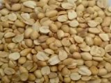 đại lý đậu phộng rang,lạc rang